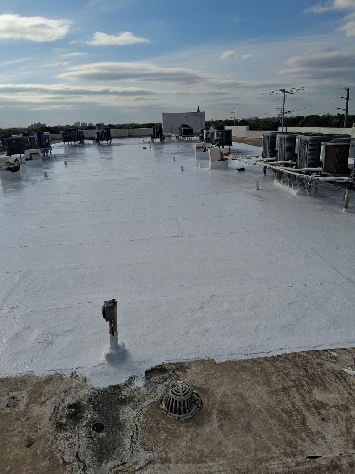 Commercial Roofing